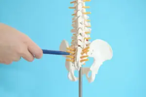 椎間板ヘルニア　軽度