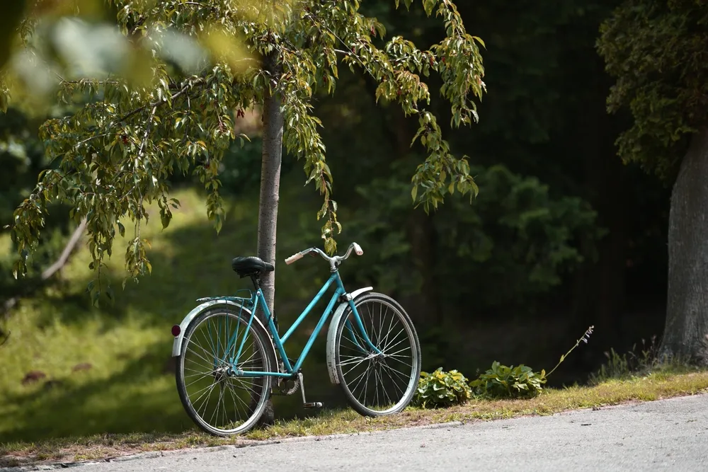 脊柱管狭窄症 自転車